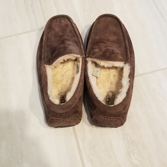 Unisex UGG Ascot Slippers Brown - Picture 4 of 6